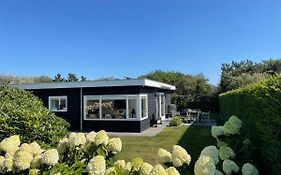 Wintergroen 11